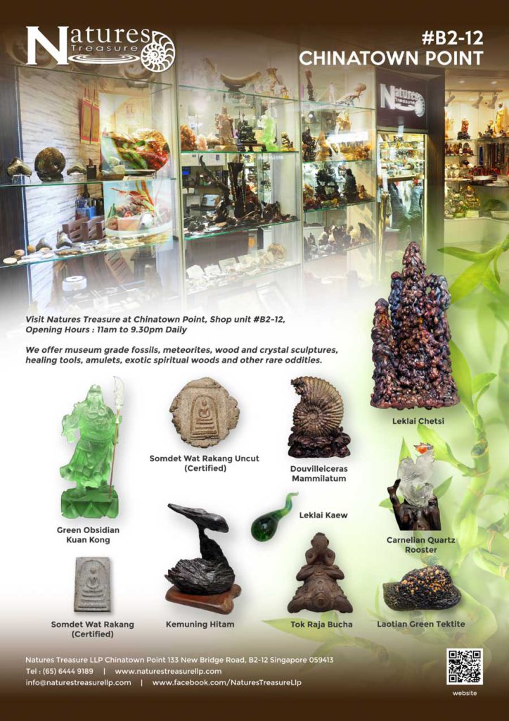 natures- treasure- poster- design