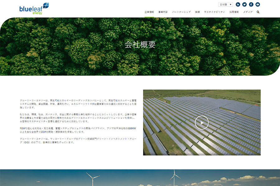 blueleaf-subpage-1