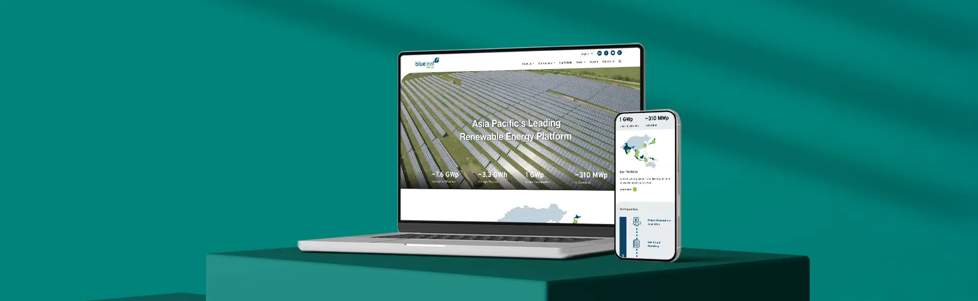 image-blueleaf-banner